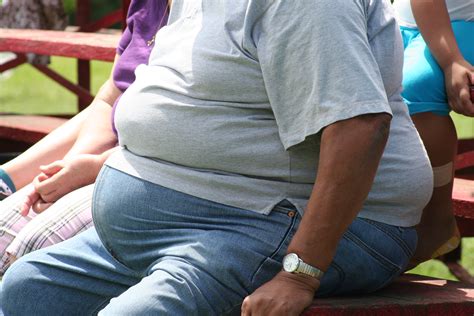 obesity www poimel